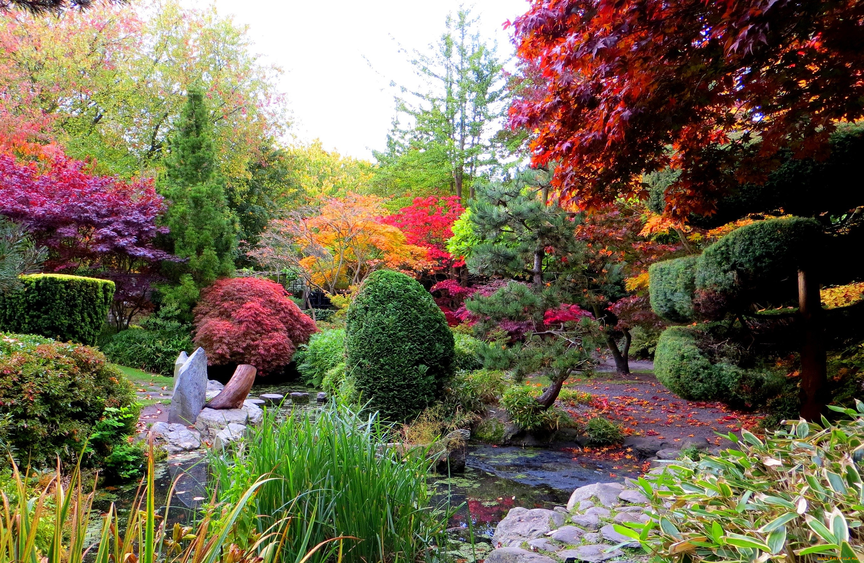 �������, ����, ���, ��������, �����, ������, �������